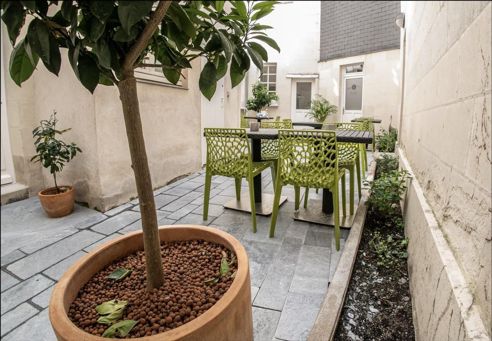 Les Lys D'or Apartment Saumur